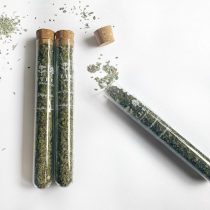 Organic Peppermint | Single Tea Tube