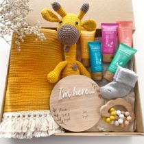 Deluxe Baby Hamper