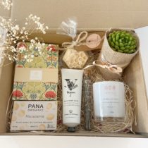 Plant Hamper